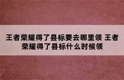 王者荣耀得了县标要去哪里领 王者荣耀得了县标什么时候领